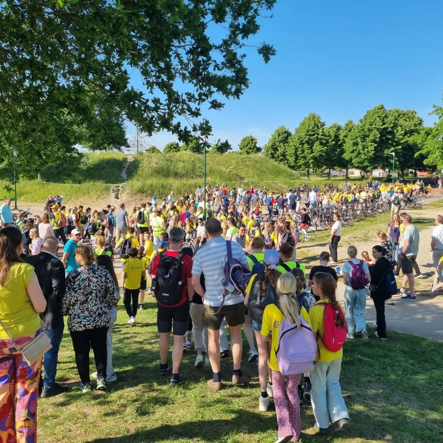 The sun shines on the mountains and trees (by Adam Kool on Unsplash)