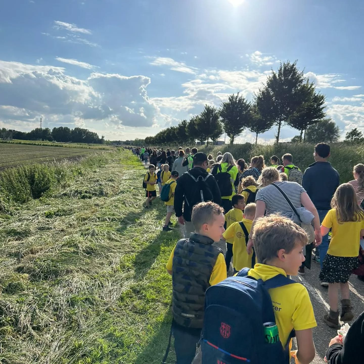 The sun is setting over a lavender field (by Leonard Cotte on Unsplash)